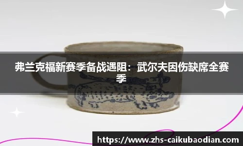 弗兰克福新赛季备战遇阻：武尔夫因伤缺席全赛季